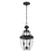 Z-Lite Westover 2 Light Outdoor Chain Mount Ceiling Fixture, Black & Clear Beveled 580CHM-BK - alternate 4